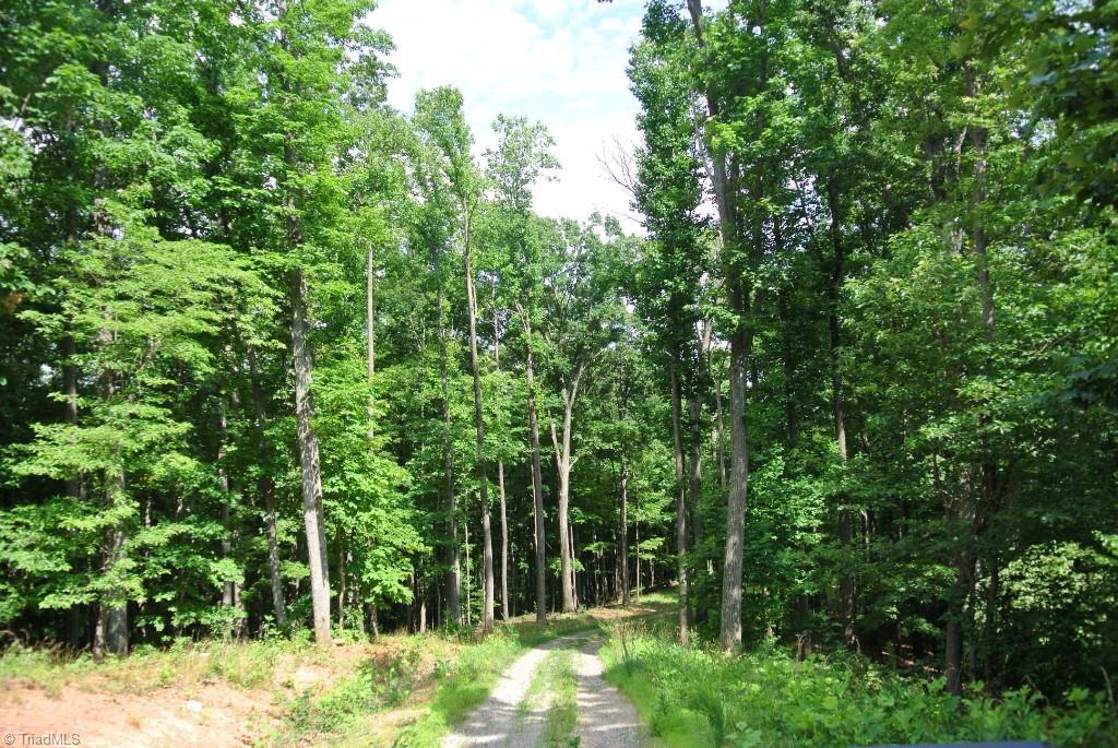 10 Rabbit Run Road Traphill, NC 28685 - Photo 1 of 21 Gallery Image 1