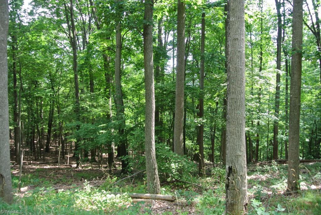 10 Rabbit Run Road Traphill, NC 28685 - Photo 2 of 21 Gallery Image 2