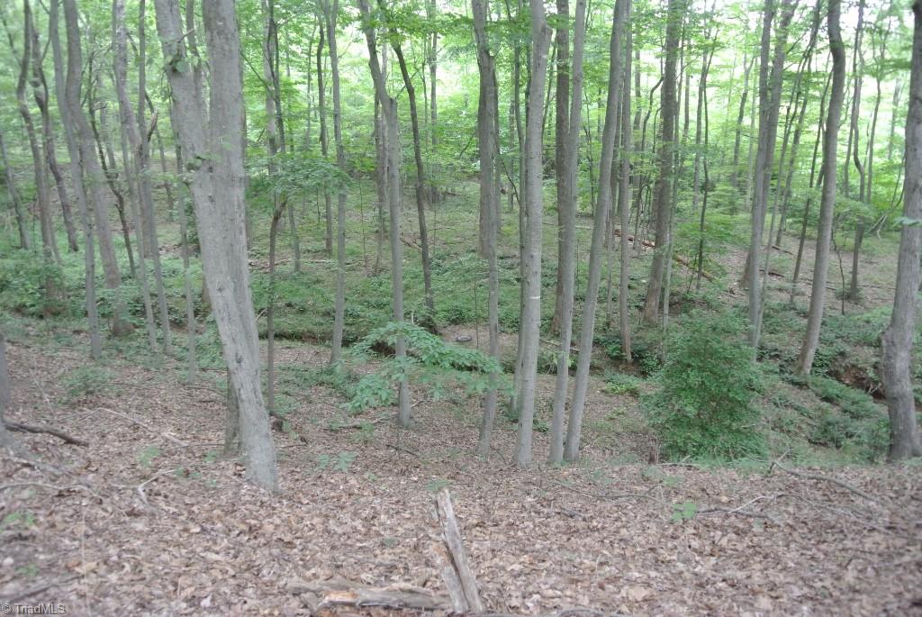 10 Rabbit Run Road Traphill, NC 28685 - Photo 11 of 21 Gallery Image 11