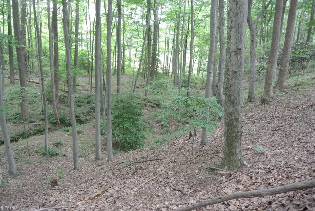10 Rabbit Run Road Traphill, NC 28685 - Photo 12 of 21 Gallery Image 12