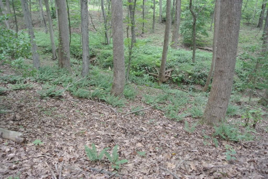 10 Rabbit Run Road Traphill, NC 28685 - Photo 13 of 21 Gallery Image 13
