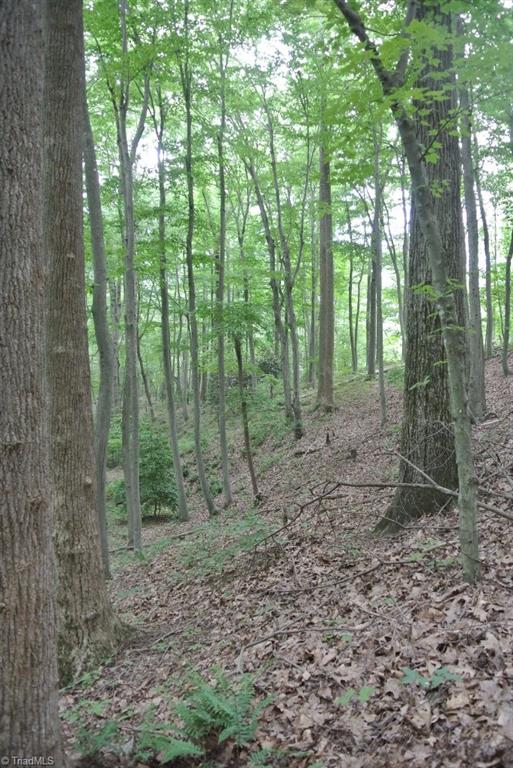 10 Rabbit Run Road Traphill, NC 28685 - Photo 16 of 21 Gallery Image 16