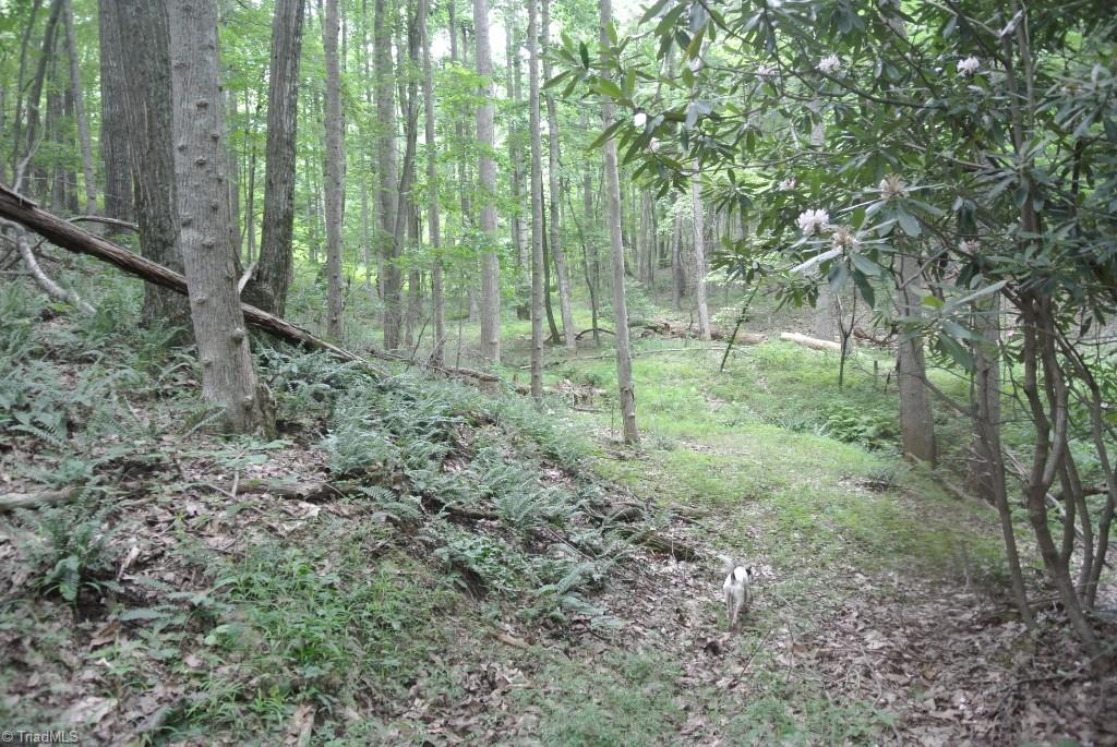 10 Rabbit Run Road Traphill, NC 28685 - Photo 17 of 21 Gallery Image 17