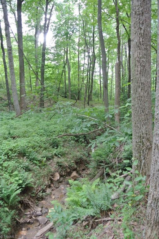 10 Rabbit Run Road Traphill, NC 28685 - Photo 19 of 21 Gallery Image 19