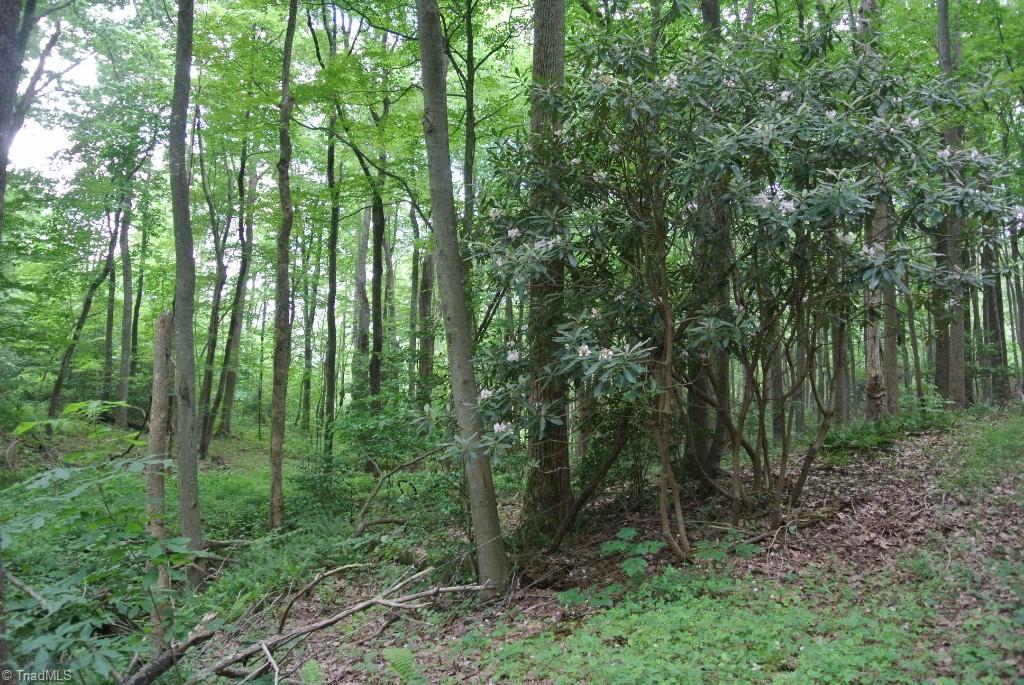 10 Rabbit Run Road Traphill, NC 28685 - Photo 20 of 21 Gallery Image 20