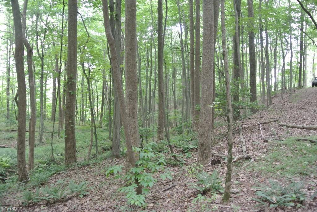 10 Rabbit Run Road Traphill, NC 28685 - Photo 21 of 21 Gallery Image 21