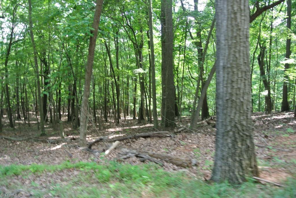 10 Rabbit Run Road Traphill, NC 28685 - Photo 4 of 21 Gallery Image 4
