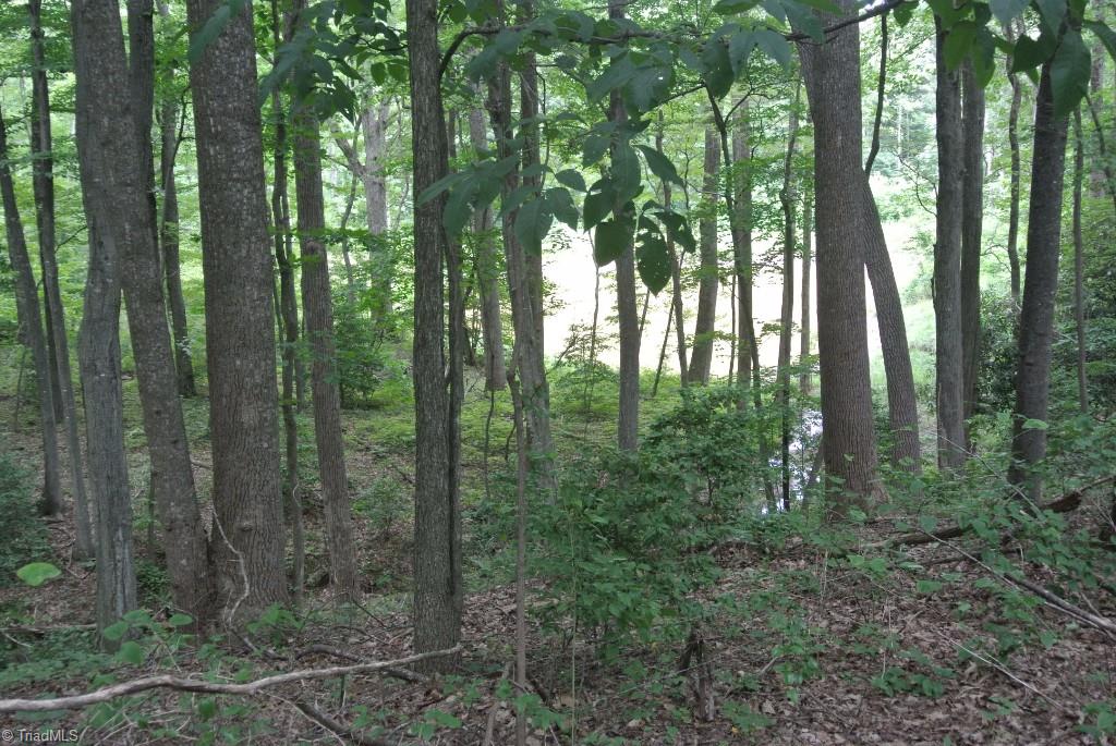 10 Rabbit Run Road Traphill, NC 28685 - Photo 7 of 21 Gallery Image 7