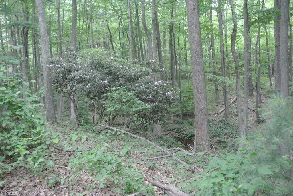 10 Rabbit Run Road Traphill, NC 28685 - Photo 10 of 21 Gallery Image 10