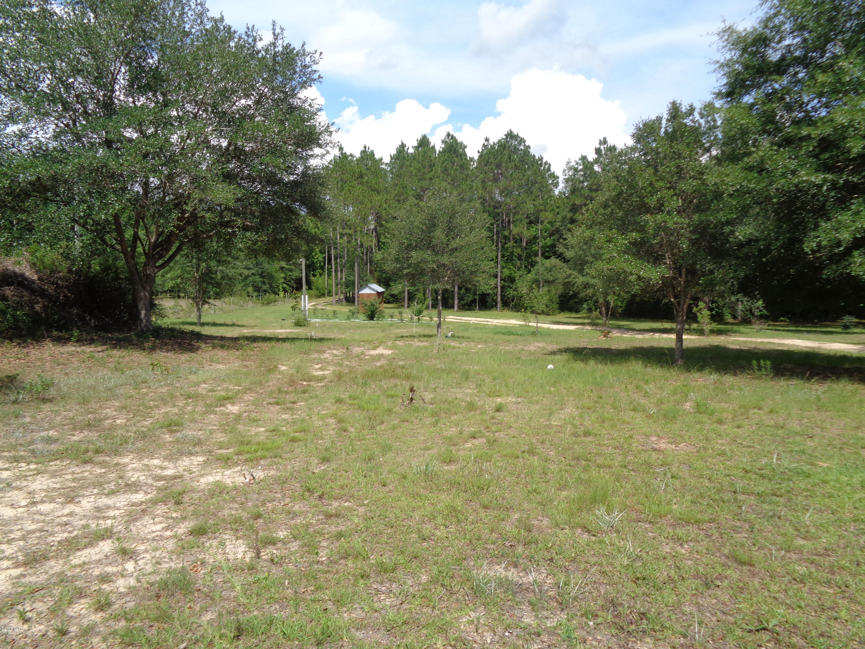 1606 Pioneer Road Chipley, FL 32428 - Photo 5 of 21 Gallery Image 5