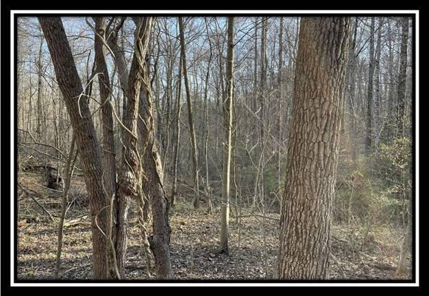 0 Harrison Road, Unit TRACT 5 Jackson, OH 45640 - Photo 27 of 50 image026