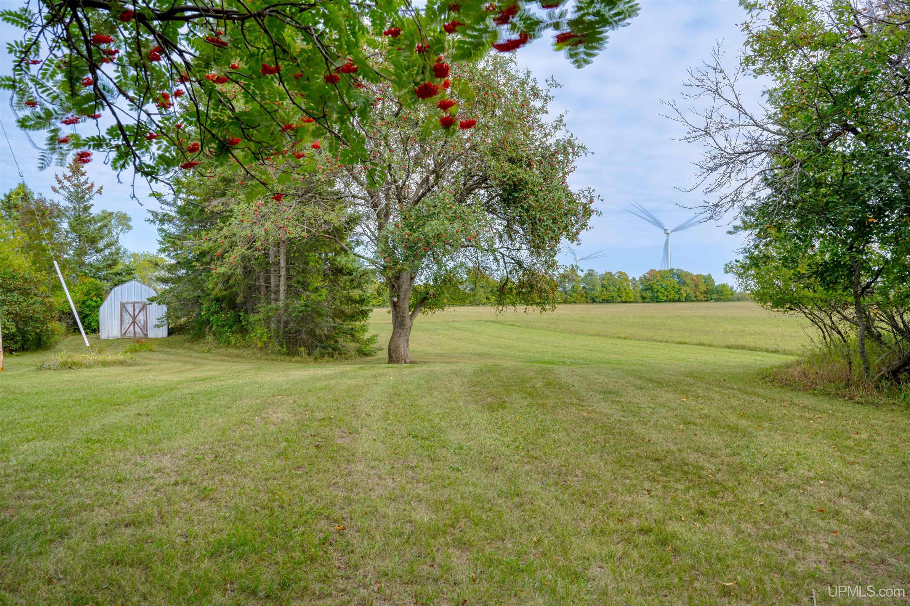 14231 14th Road Garden, MI 49835 - Photo 5 of 23