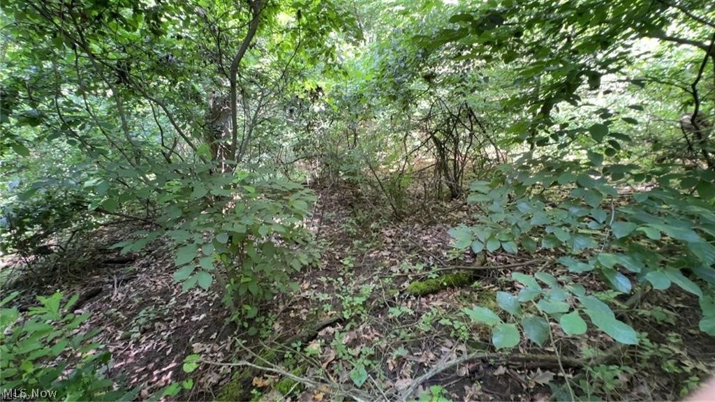 Lookout Road Stockport, OH 43787 - Photo 11 of 27