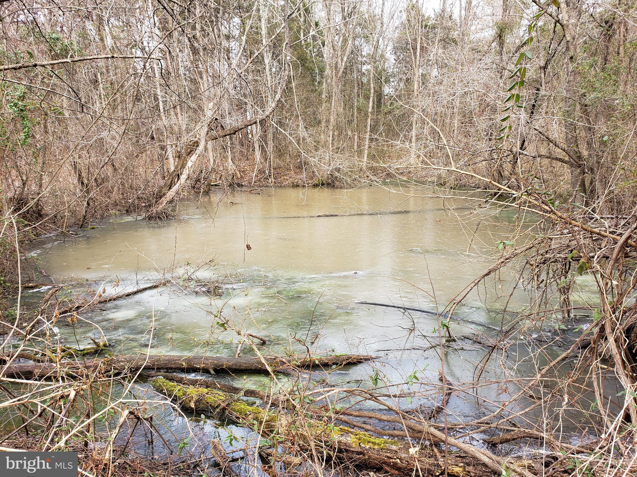 10516 Bristersburg Road Catlett, VA 20119 - Photo 2 of 4 Pond