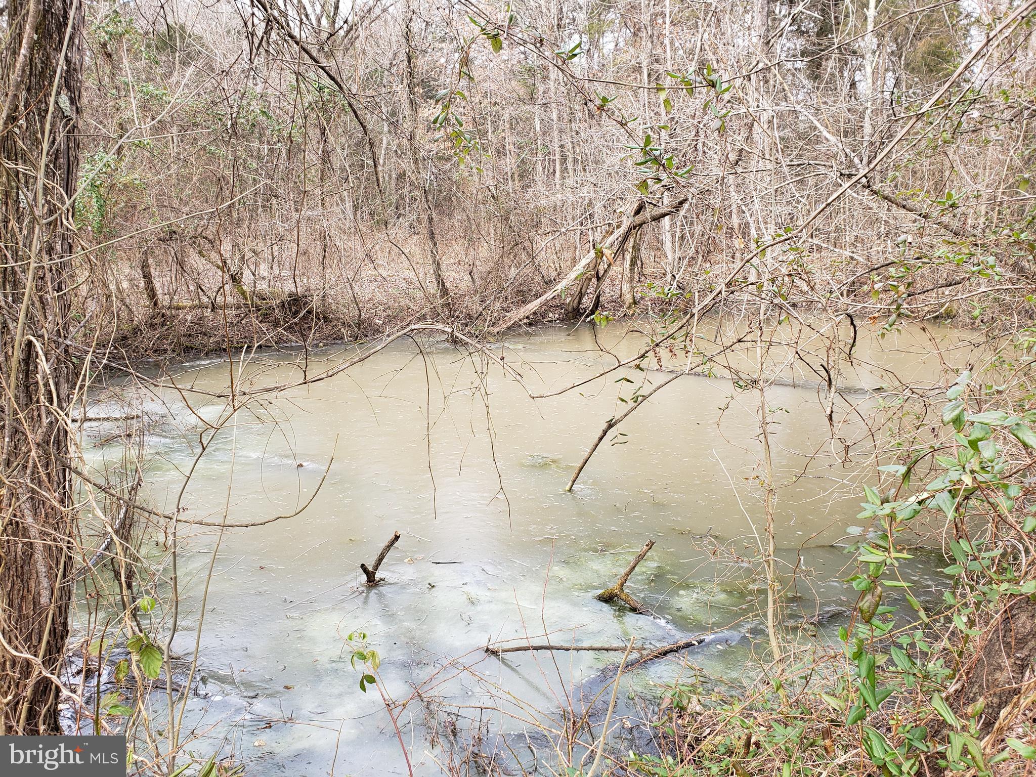 10516 Bristersburg Road Catlett, VA 20119 - Photo 3 of 4 large Pond