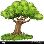 a view of a tree in a yard