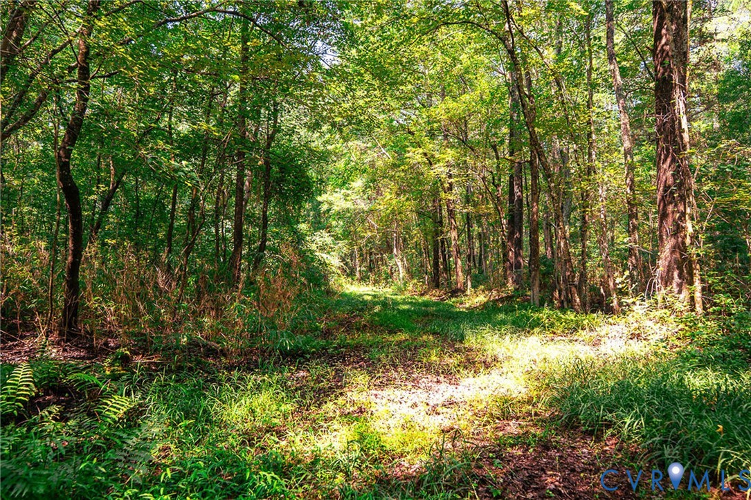 663.8-acres Peach Road Chesapeake, VA 23321 - Photo 32 of 48 Gallery Image 32