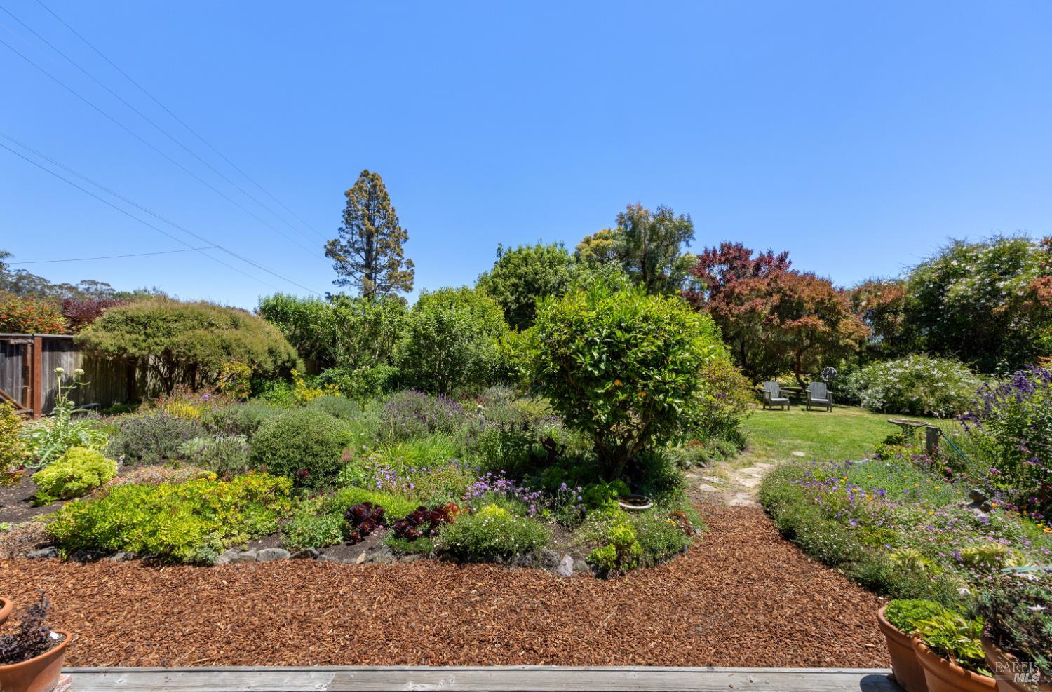 385 Cedar Road Bolinas, CA 94924 - Photo 39 of 70