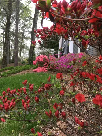 $479,500 | 1904 Morris Hill Road, Chattanooga, TN 37421