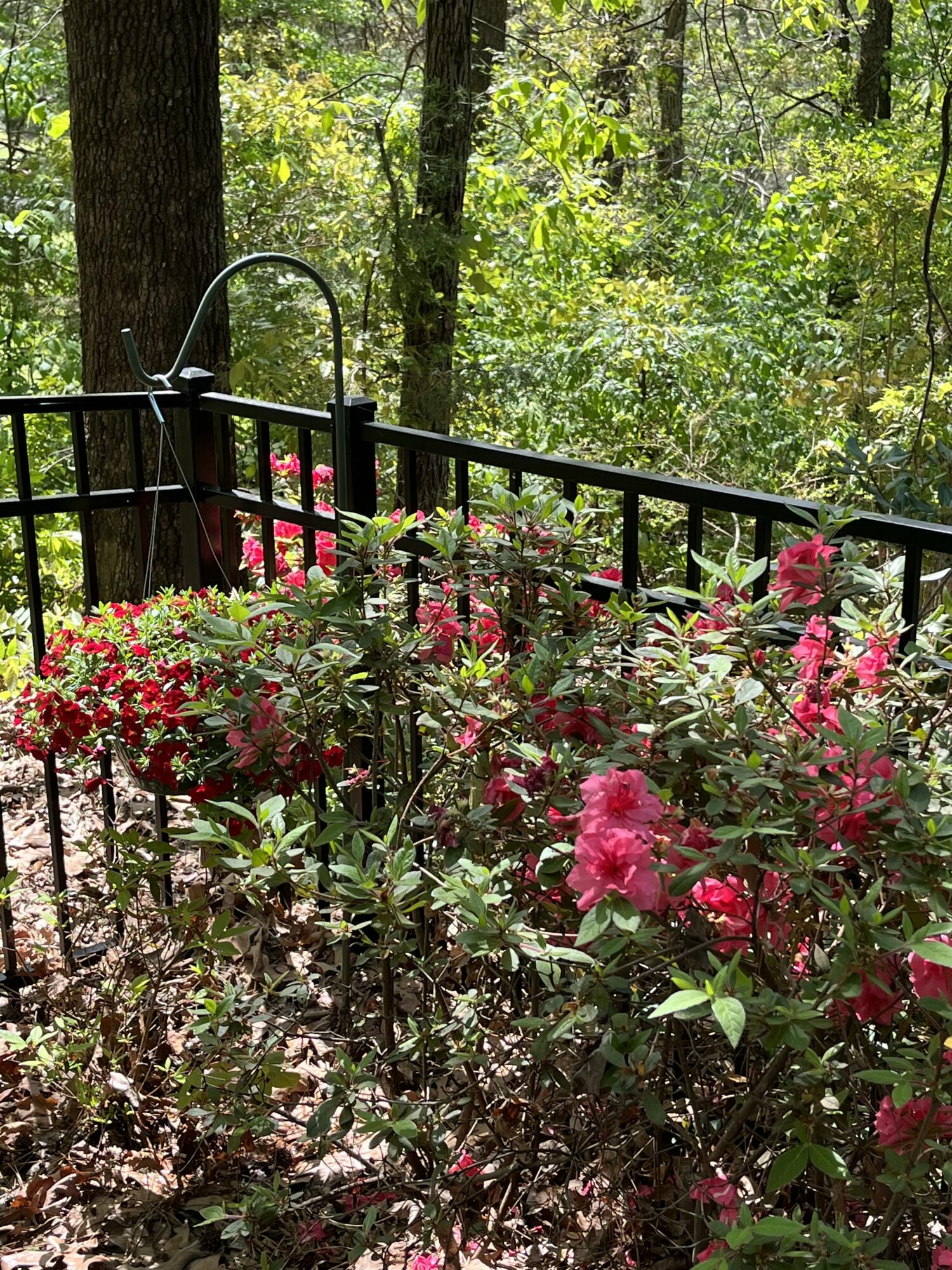 1904 Morris Hill Road Chattanooga, TN 37421 - Photo 3 of 3 IMG_0069