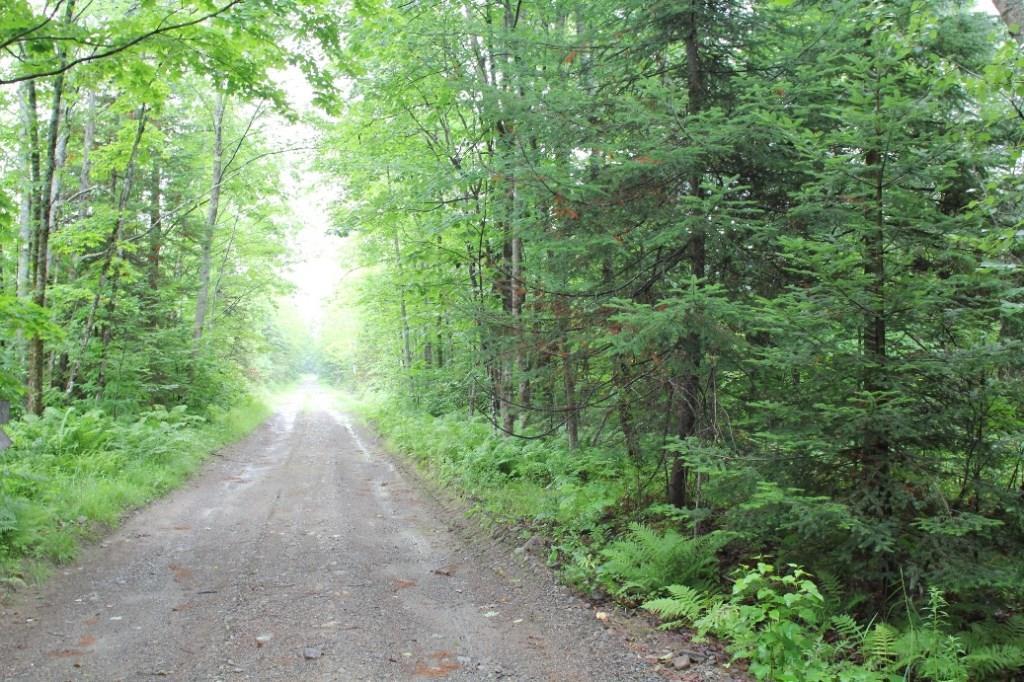 0 Burton Corner Road Pittsfield, ME 04967 - Photo 3 of 4 Photo