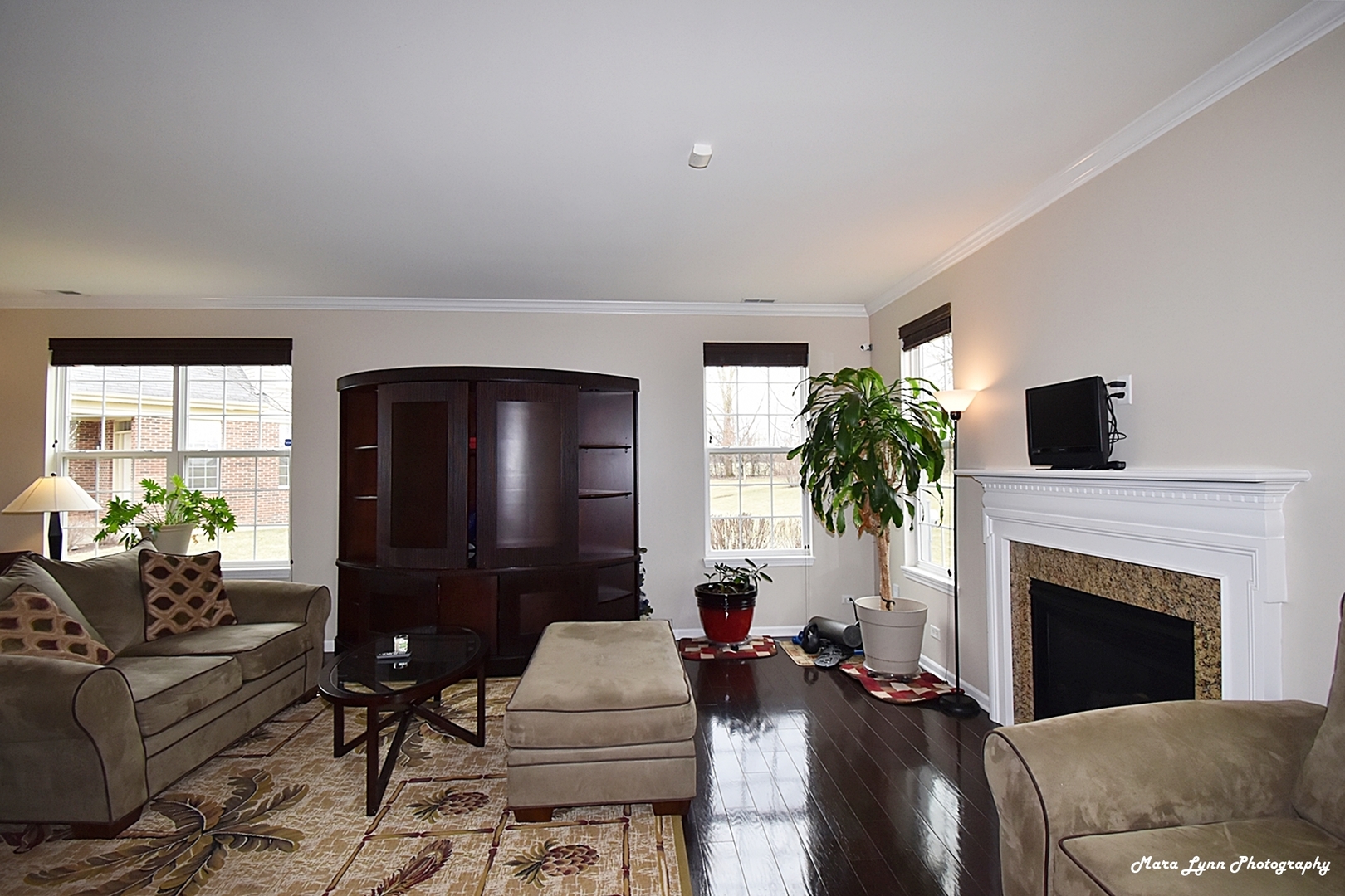 2872 Church Road Aurora, IL 60502 - Photo 16 of 38 a living room with furniture fireplace and window