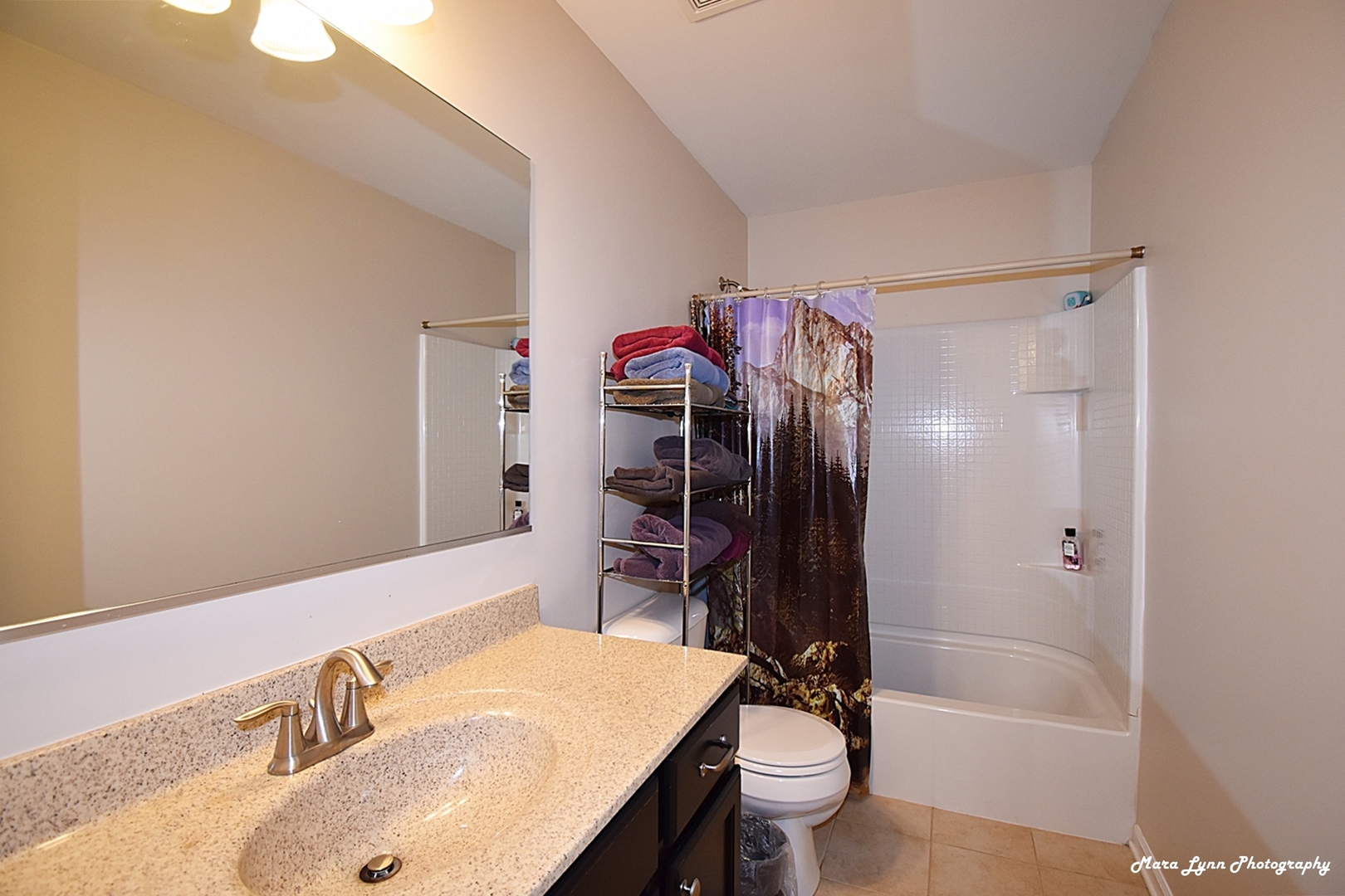 2872 Church Road Aurora, IL 60502 - Photo 31 of 38 a bathroom with a sink and a mirror