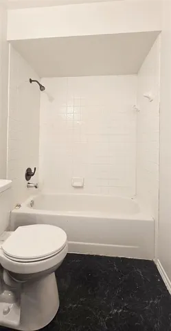 a bathroom with a toilet and a bathtub