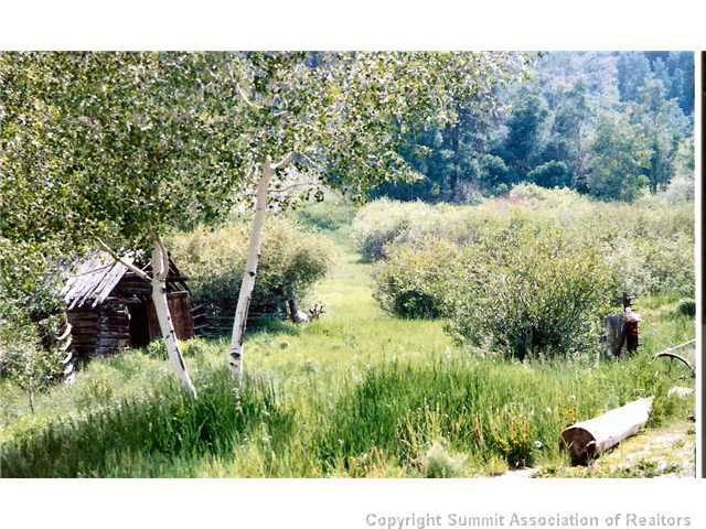 1555 South Ruby Road Silverthorne, CO 80498 - Photo 17 of 25 Yard/Garden.