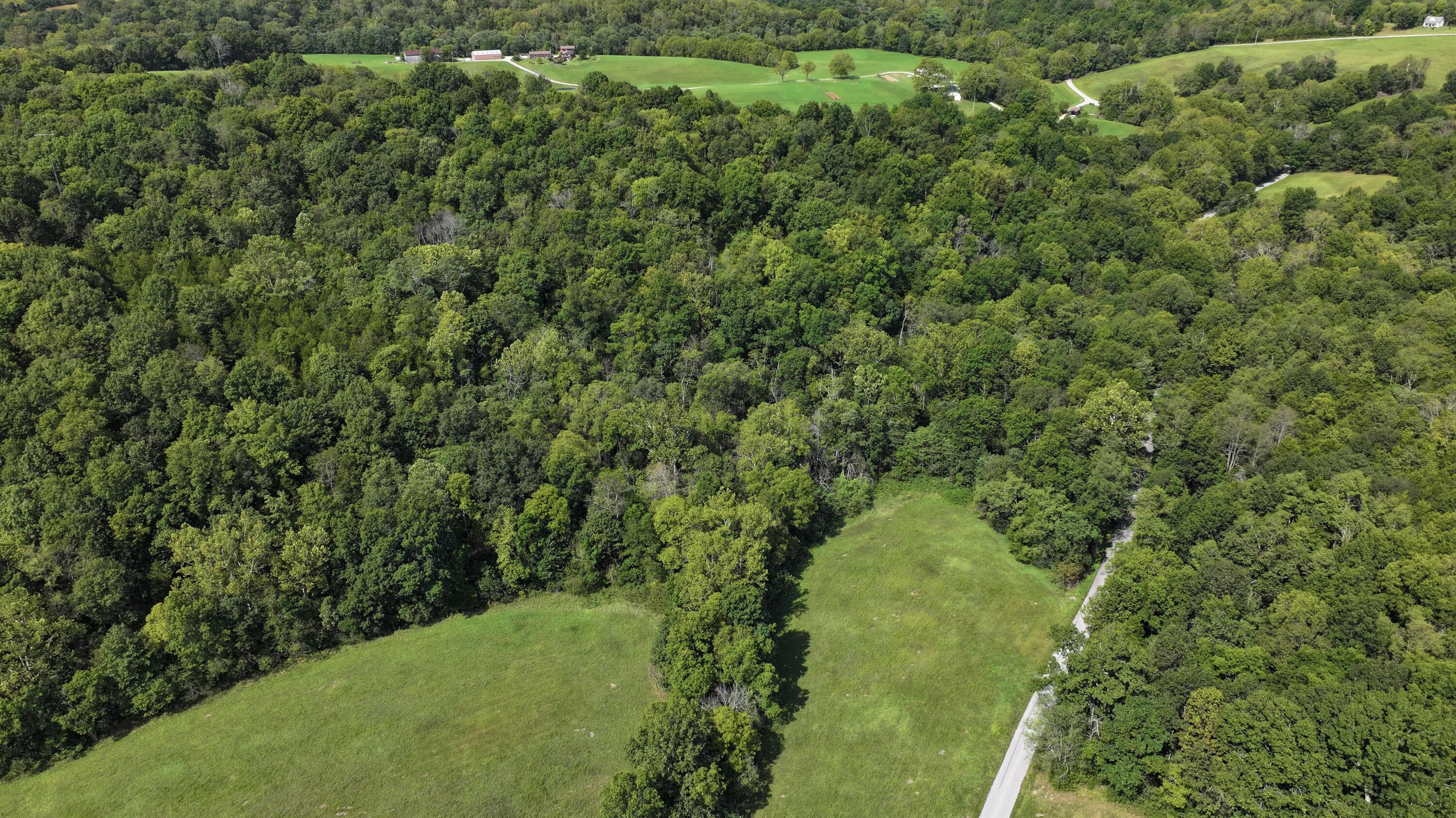 0 Pleasant Grove Road Corinth, KY 41010 - Photo 2 of 13 DJI_20260914121254_0002_D