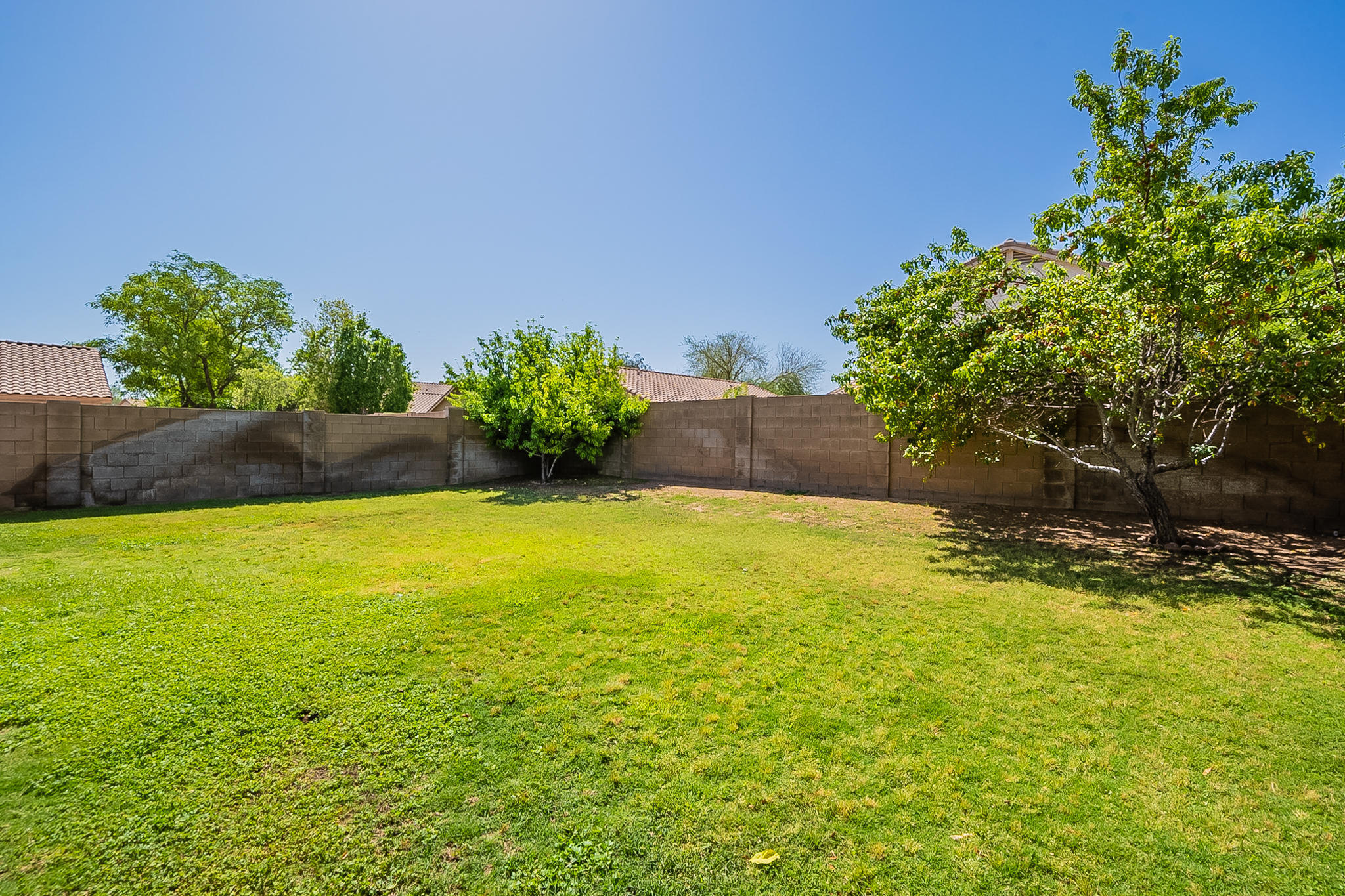 7035 West Phelps Road Peoria, AZ 85382 - Photo 30 of 32 Phelps-29