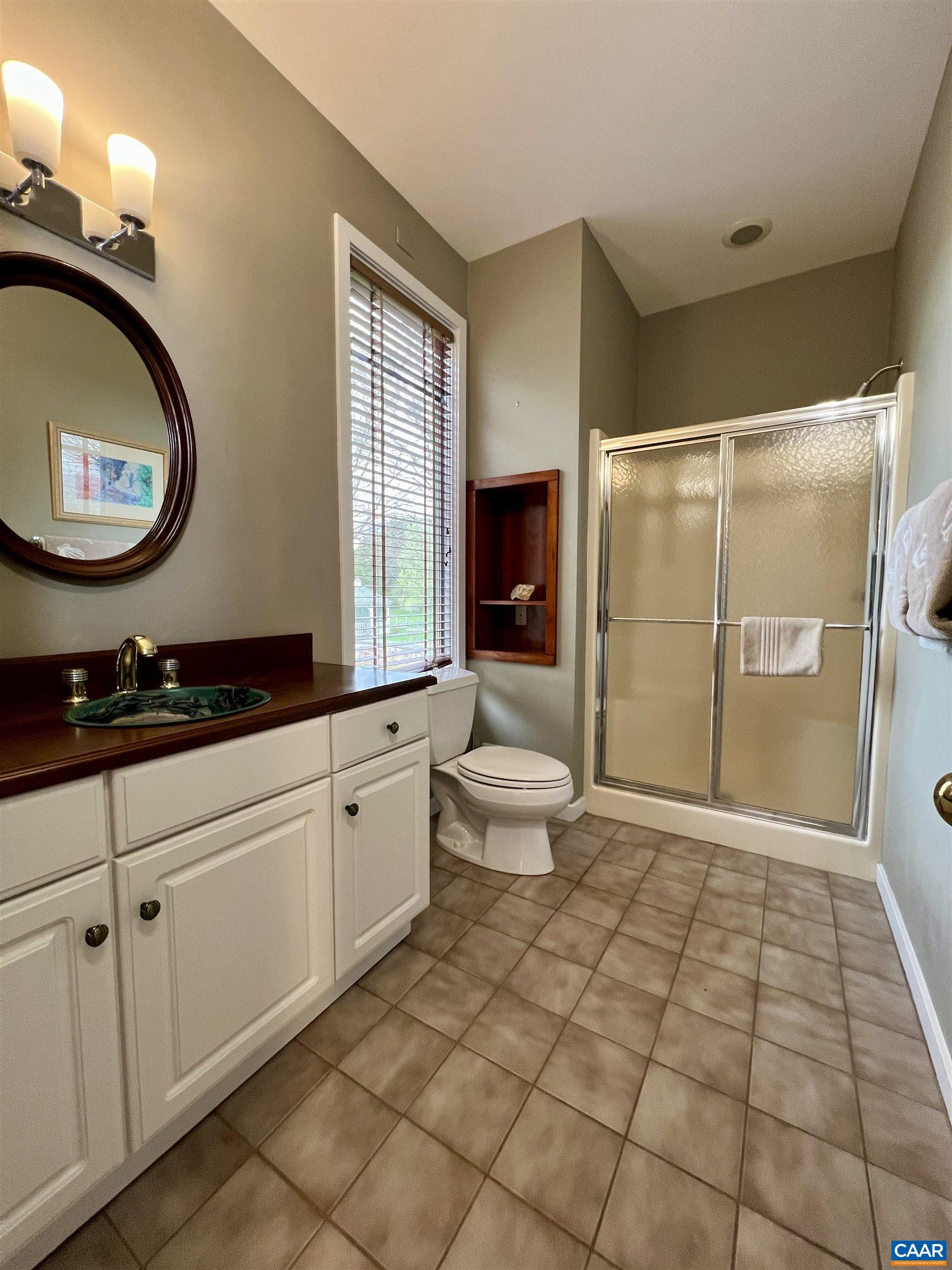 4749 Wesley Chapel Road Free Union, VA 22940 - Photo 55 of 73 a bathroom with a toilet a sink and mirror