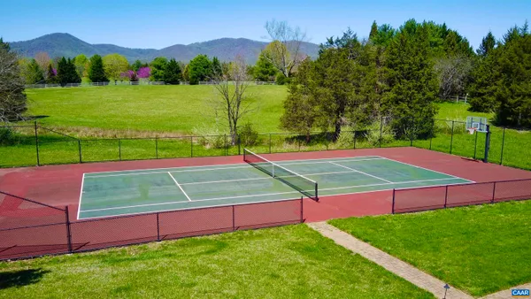 a big tree in middle of the garden