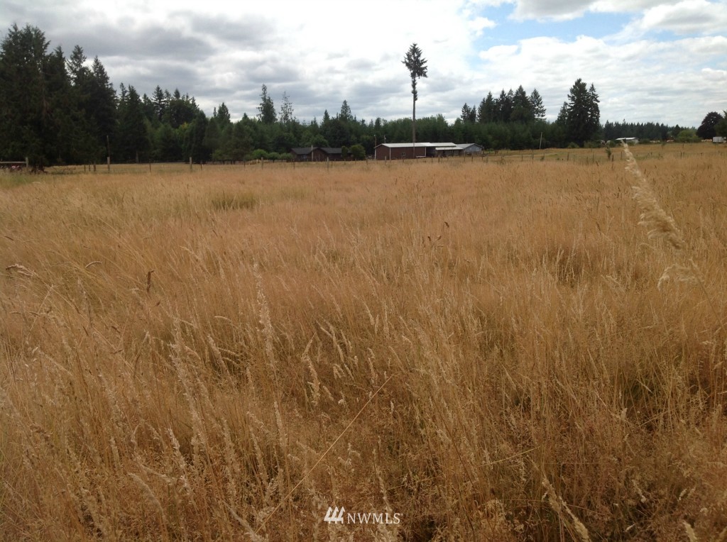 746 A Koontz Road Napavine, WA 98532 - Photo 22 of 22