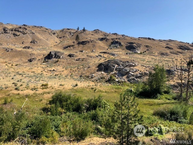0 Valley Road Brewster, WA 98812 - Photo 3 of 6 Gallery Image 3