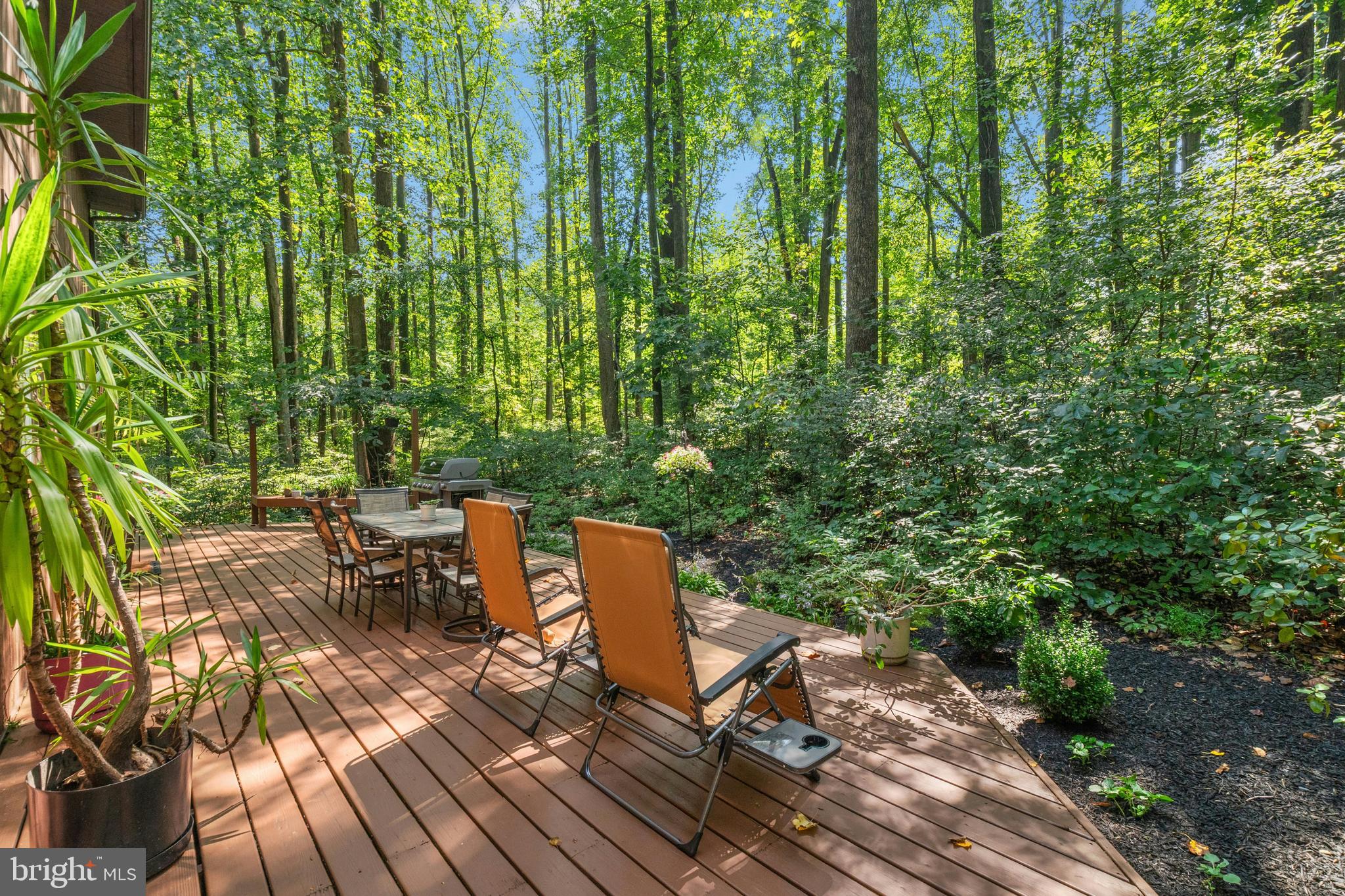 1715 Kumry Road Quakertown, PA 18951 - Photo 31 of 37 a view of outdoor space yard and patio