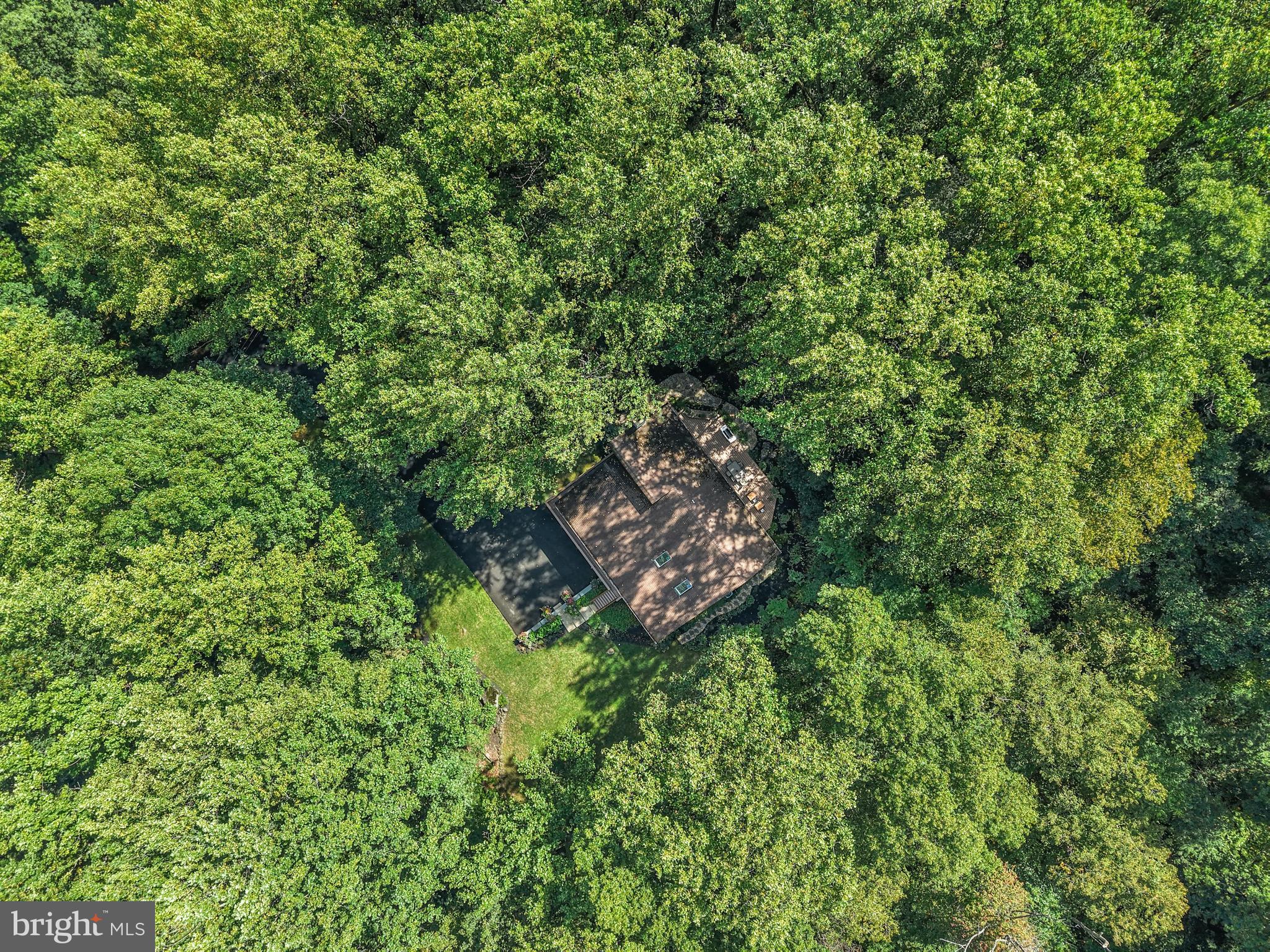 1715 Kumry Road Quakertown, PA 18951 - Photo 37 of 37 a view of a lush green forest with lots of trees