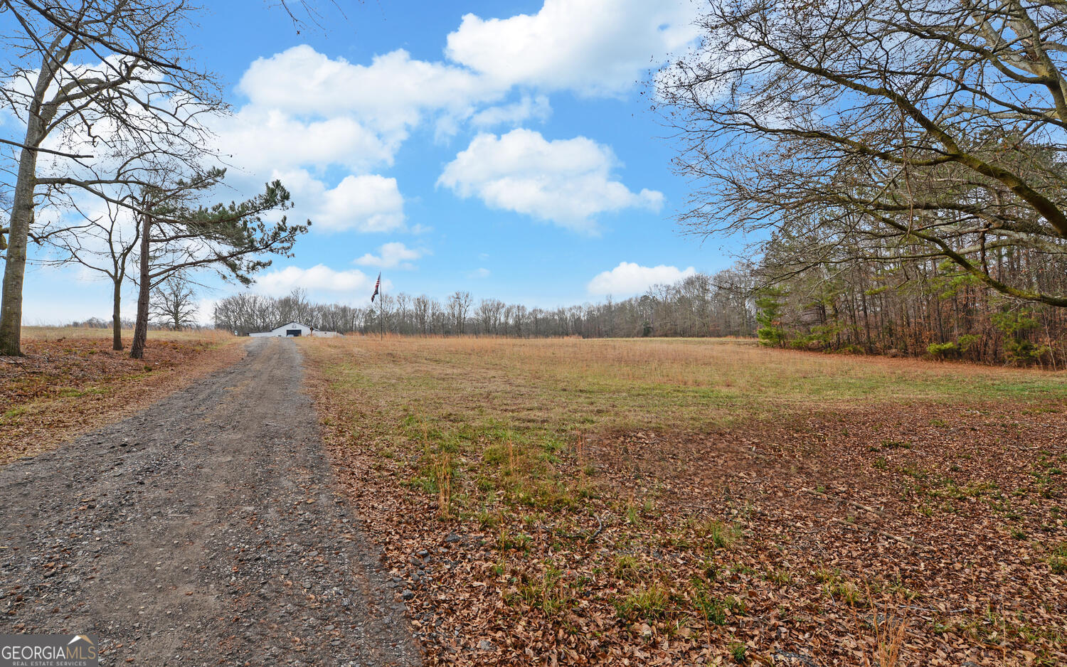3798 Bethany Bowersville Road Canon, GA 30520 - Photo 34 of 40