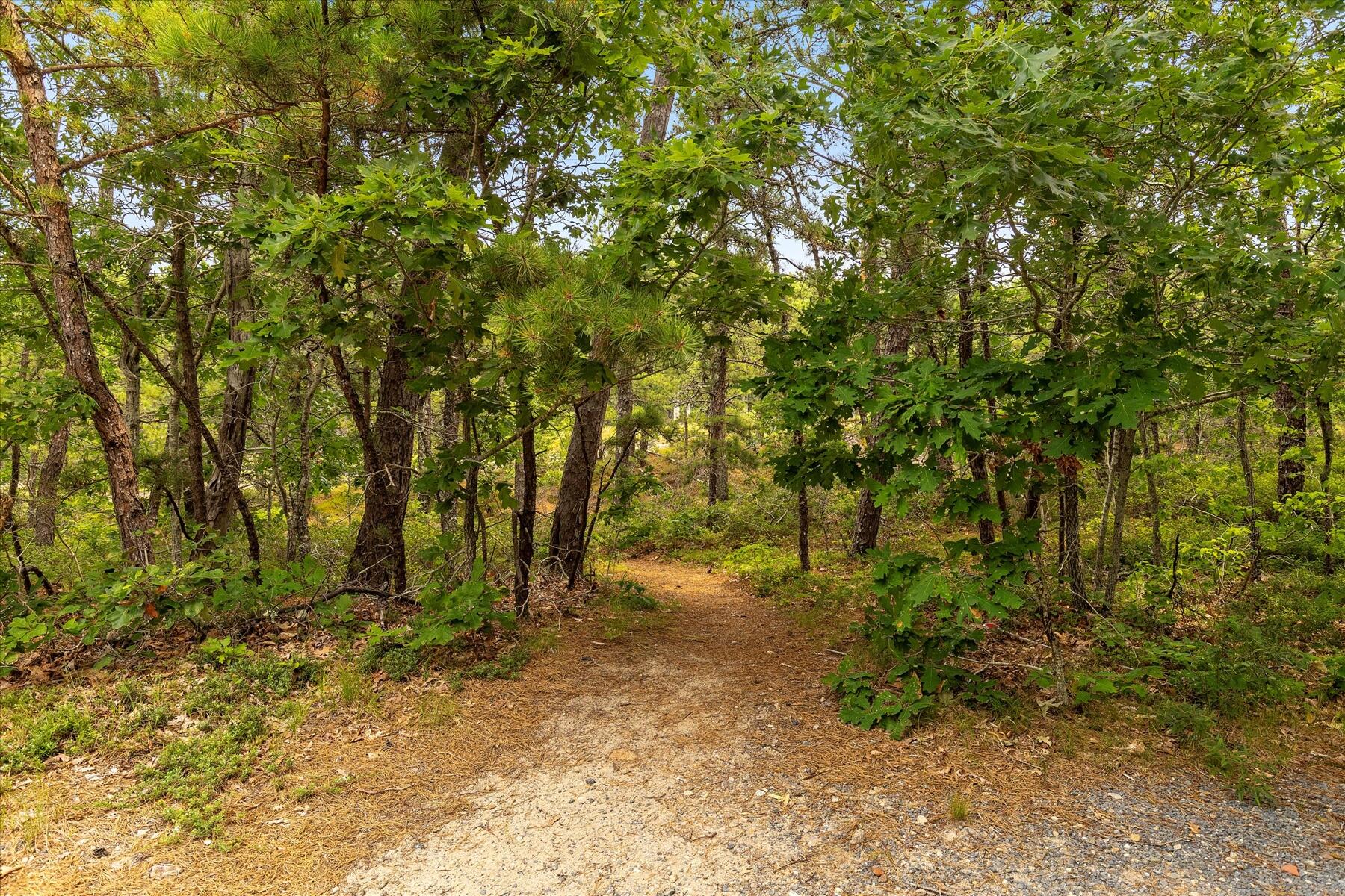 80 Woodlot Road Wellfleet, MA 02667 - Photo 50 of 67 61-MG_9404-r