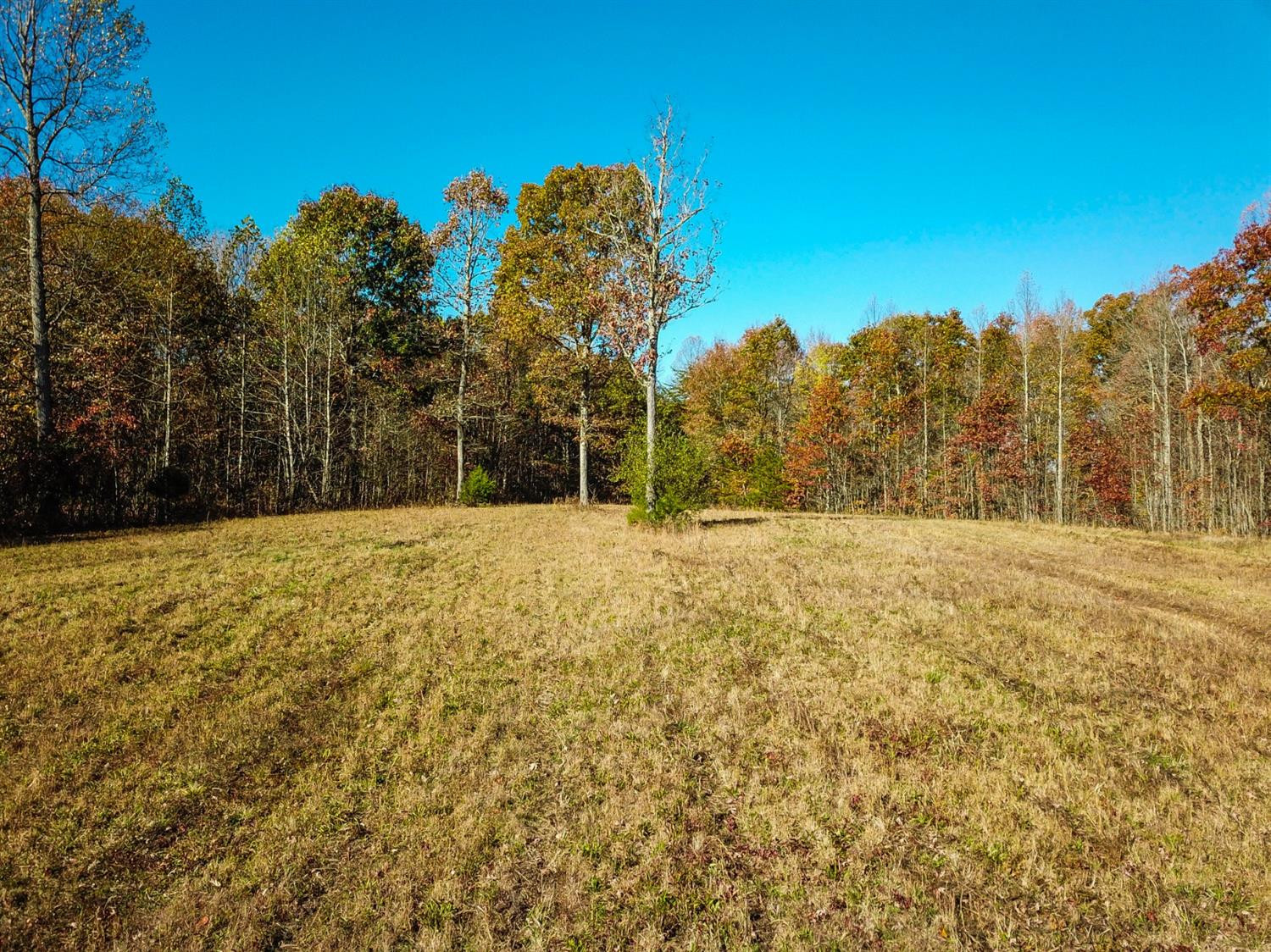 999 Red Davidson Road McKee, KY 40447 - Photo 19 of 45 Photo 19