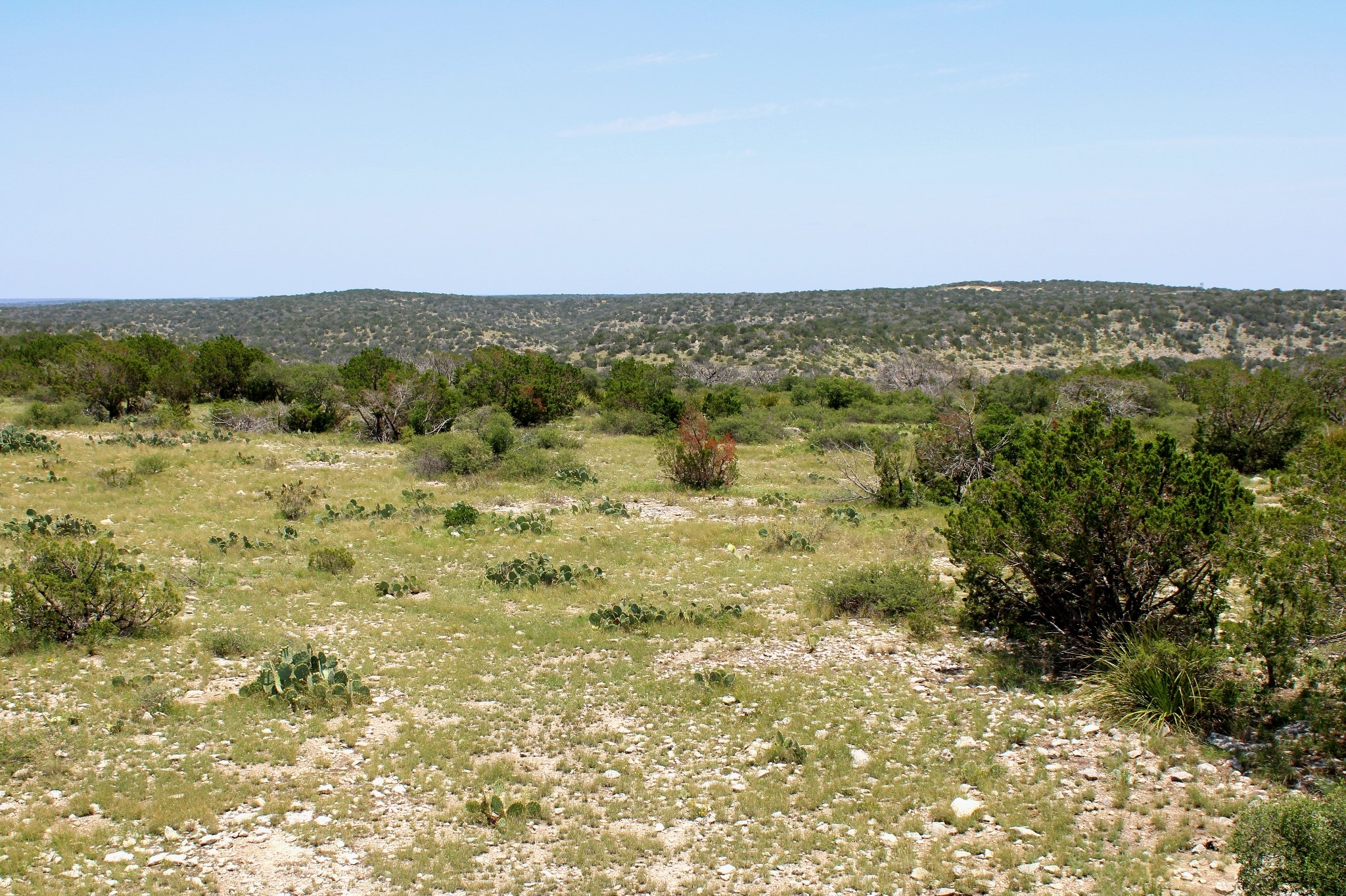 2519 Widmark Road Comstock, TX 78837 - Photo 16 of 48