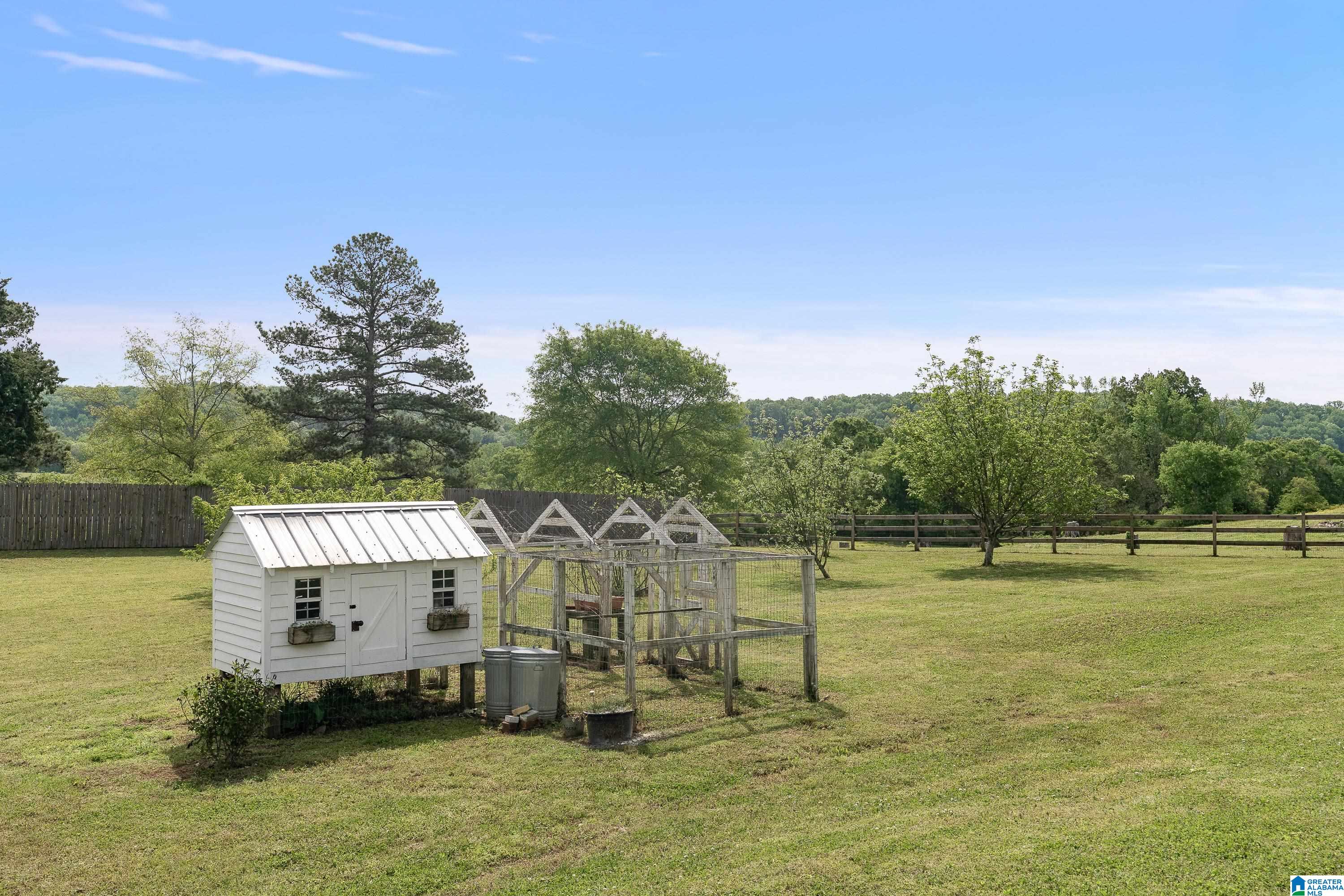 55 Lee Cutoff Road Pell City, AL 35125 - Photo 33 of 35 Gallery Image 33