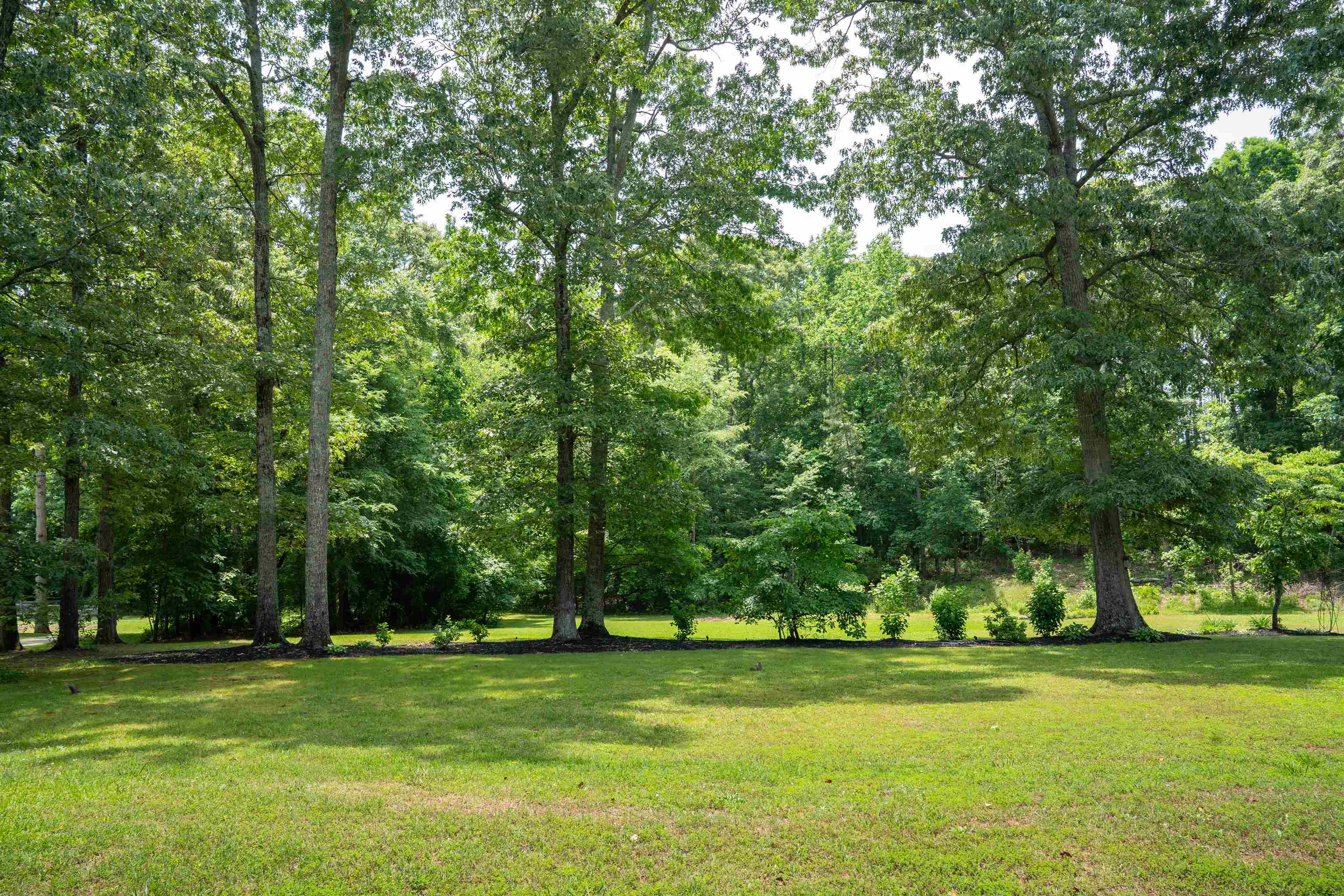 763 Grassy Pond Road Gaffney, SC 29341 - Photo 32 of 50