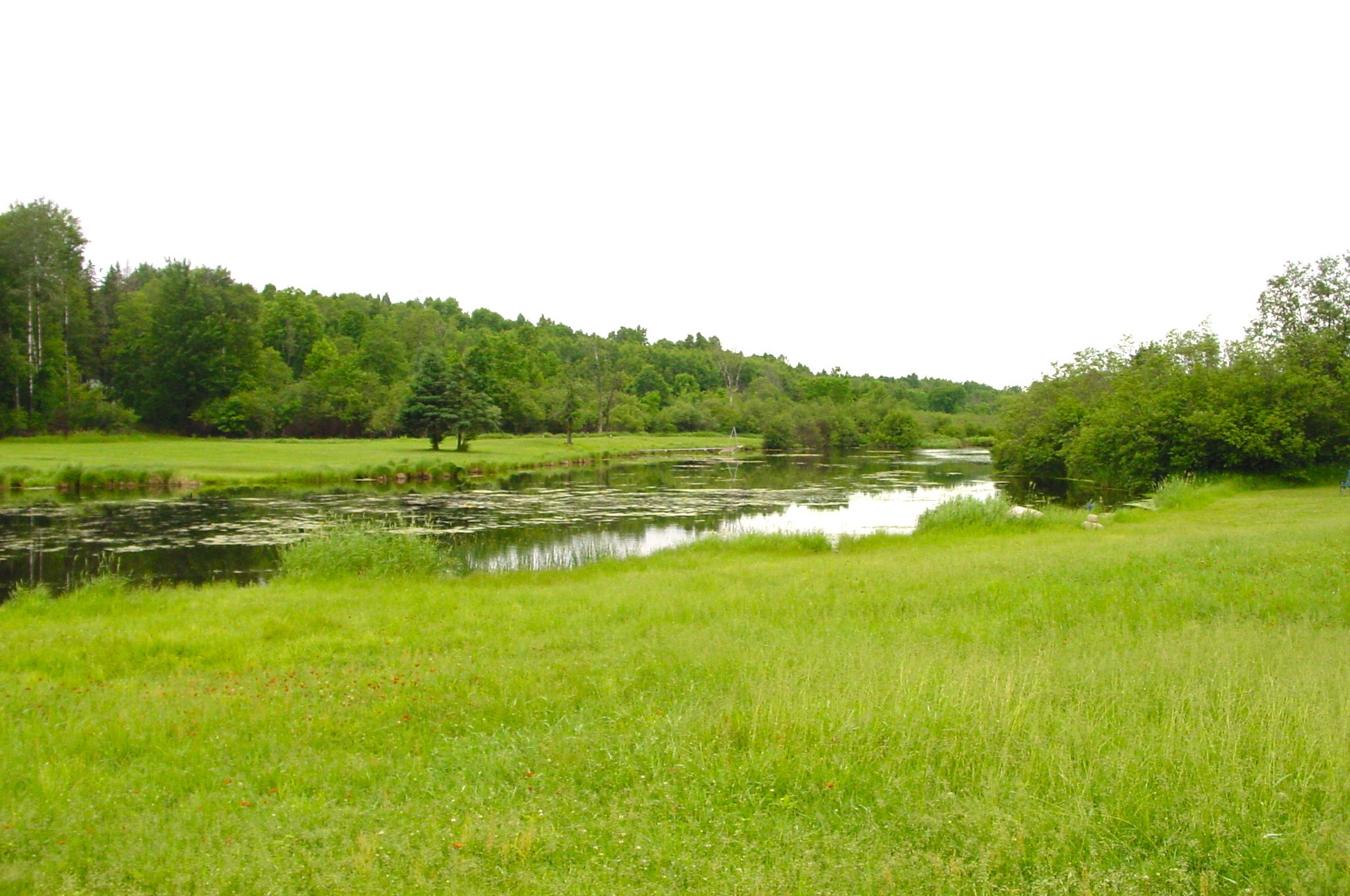 N6659 Kaiser Road Hawkins, WI 54530 - Photo 5 of 39