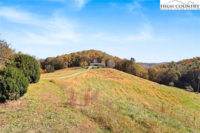a view of back yard of the house
