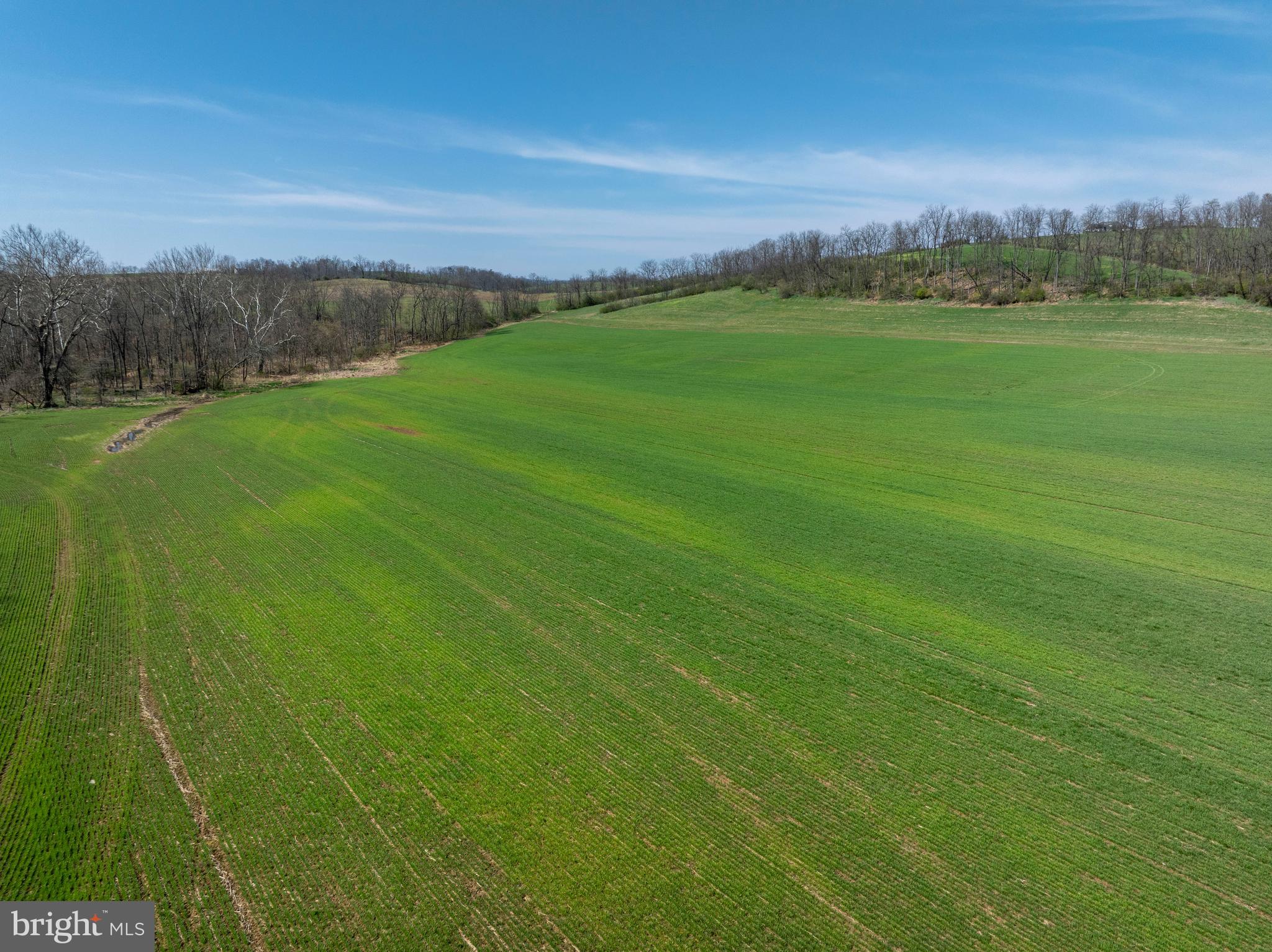 5859 Bethel Road Alexandria, PA 16611 - Photo 120 of 126