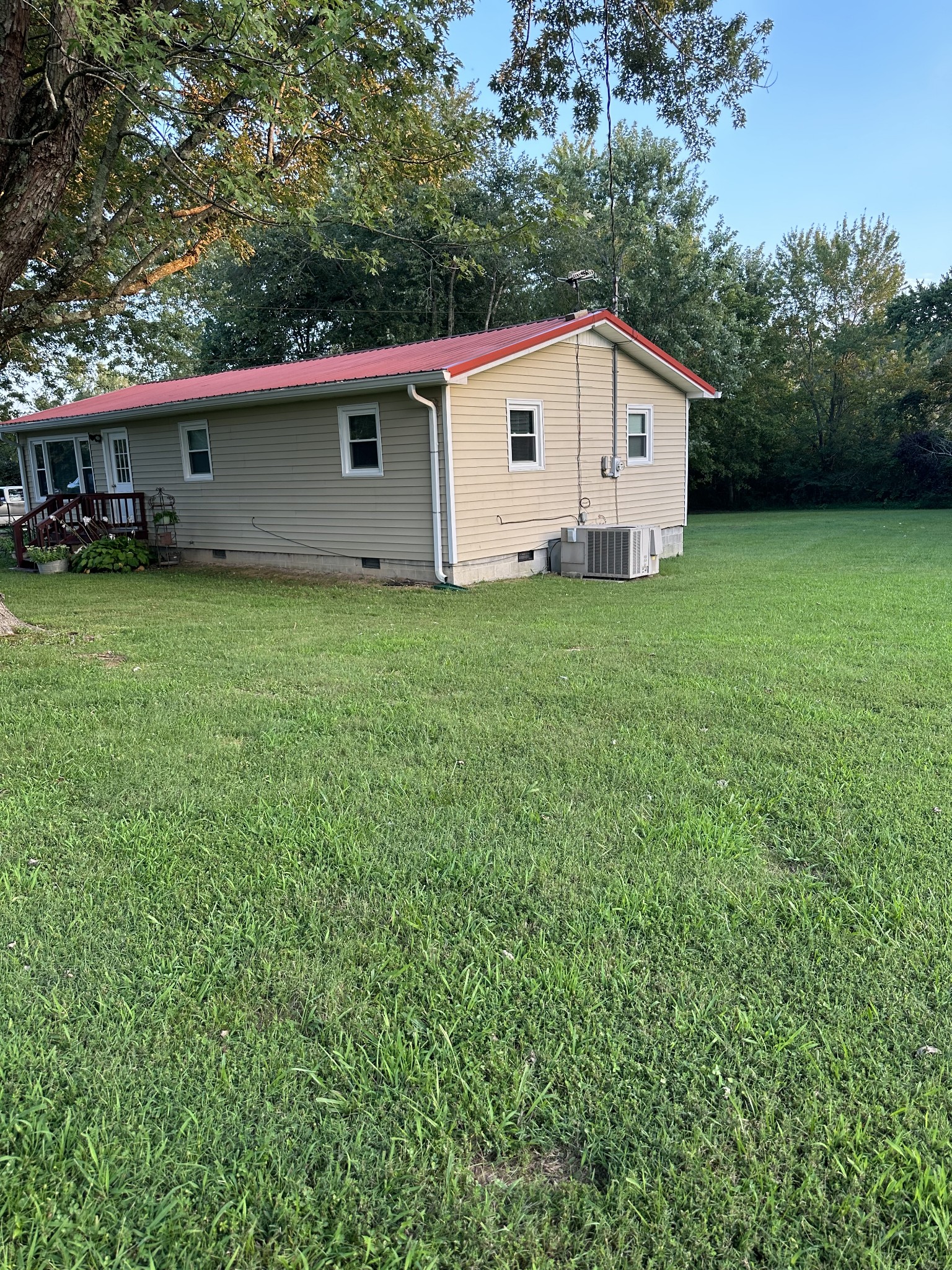 247 Petty Gap Road Woodbury, TN 37190 - Photo 5 of 23 a view of backyard with potted plants and large tree