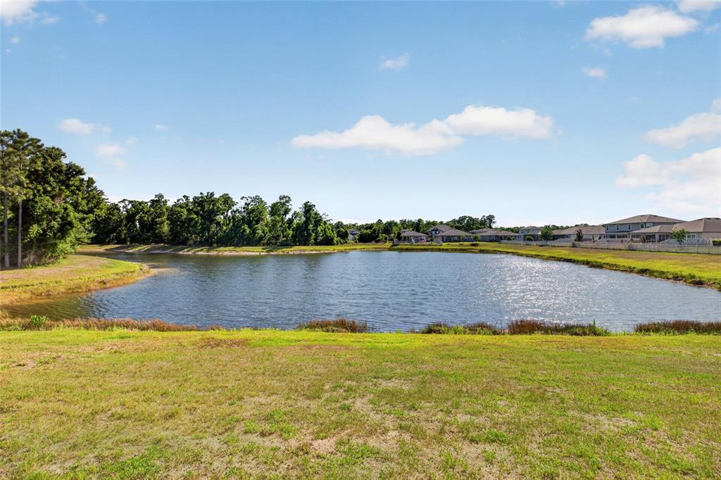 18428 Malinche Loop Spring Hill, FL 34610 - Photo 57 of 82