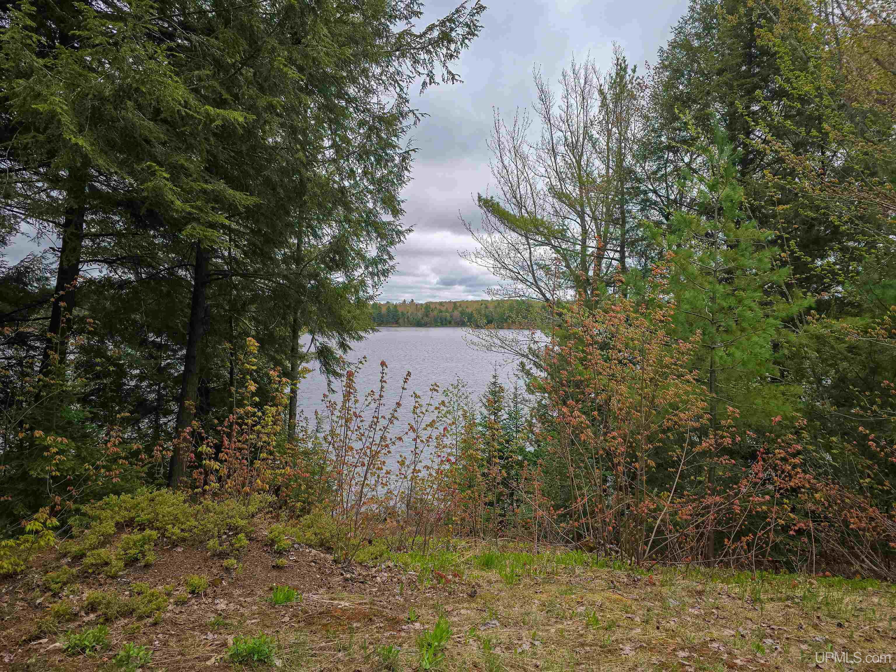 14456 Crooked Lake Road Shingleton, MI 49884 - Photo 19 of 49