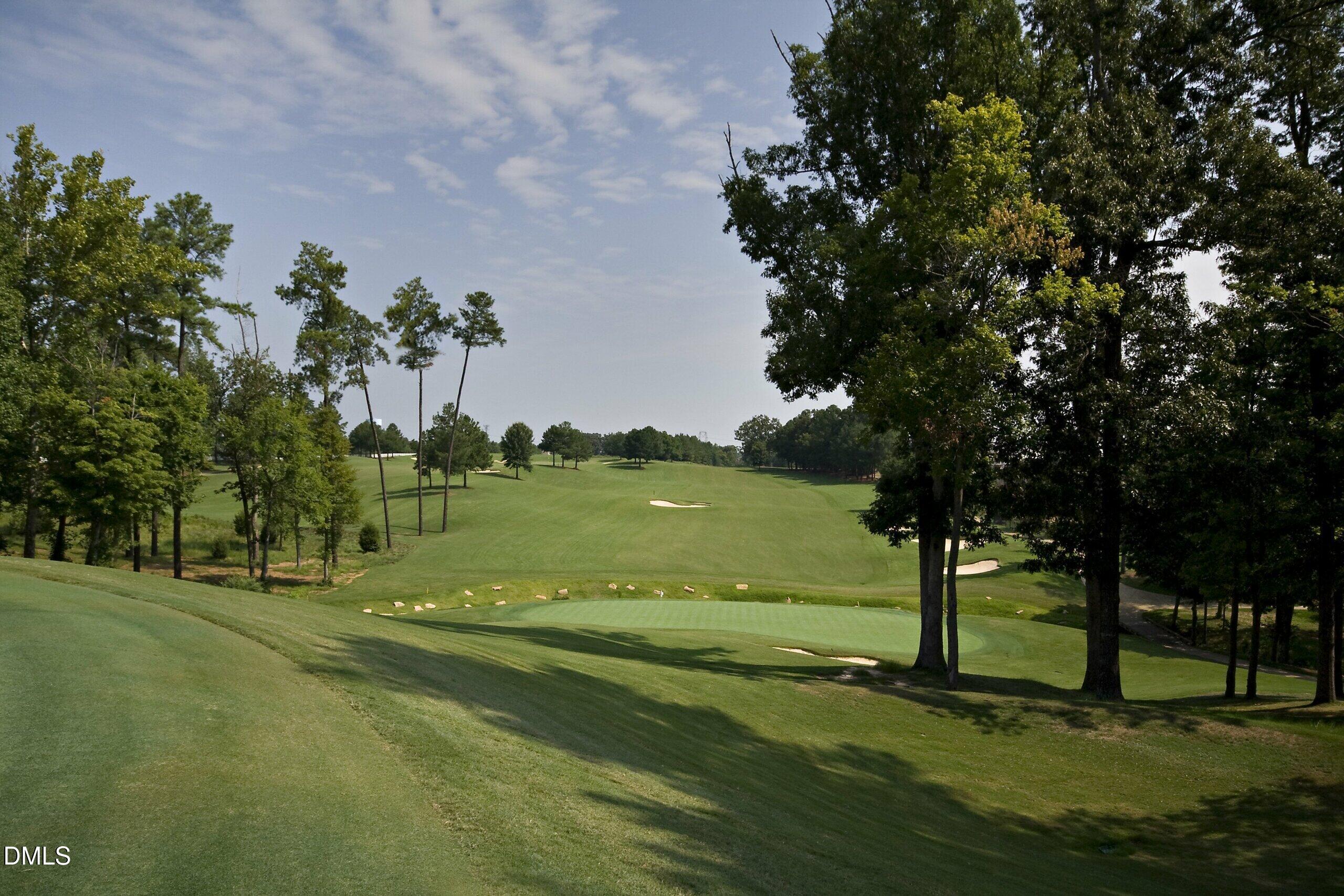 2705 Peachleaf Street Raleigh, NC 27614 - Photo 2 of 52 WakefieldGolfCourse1